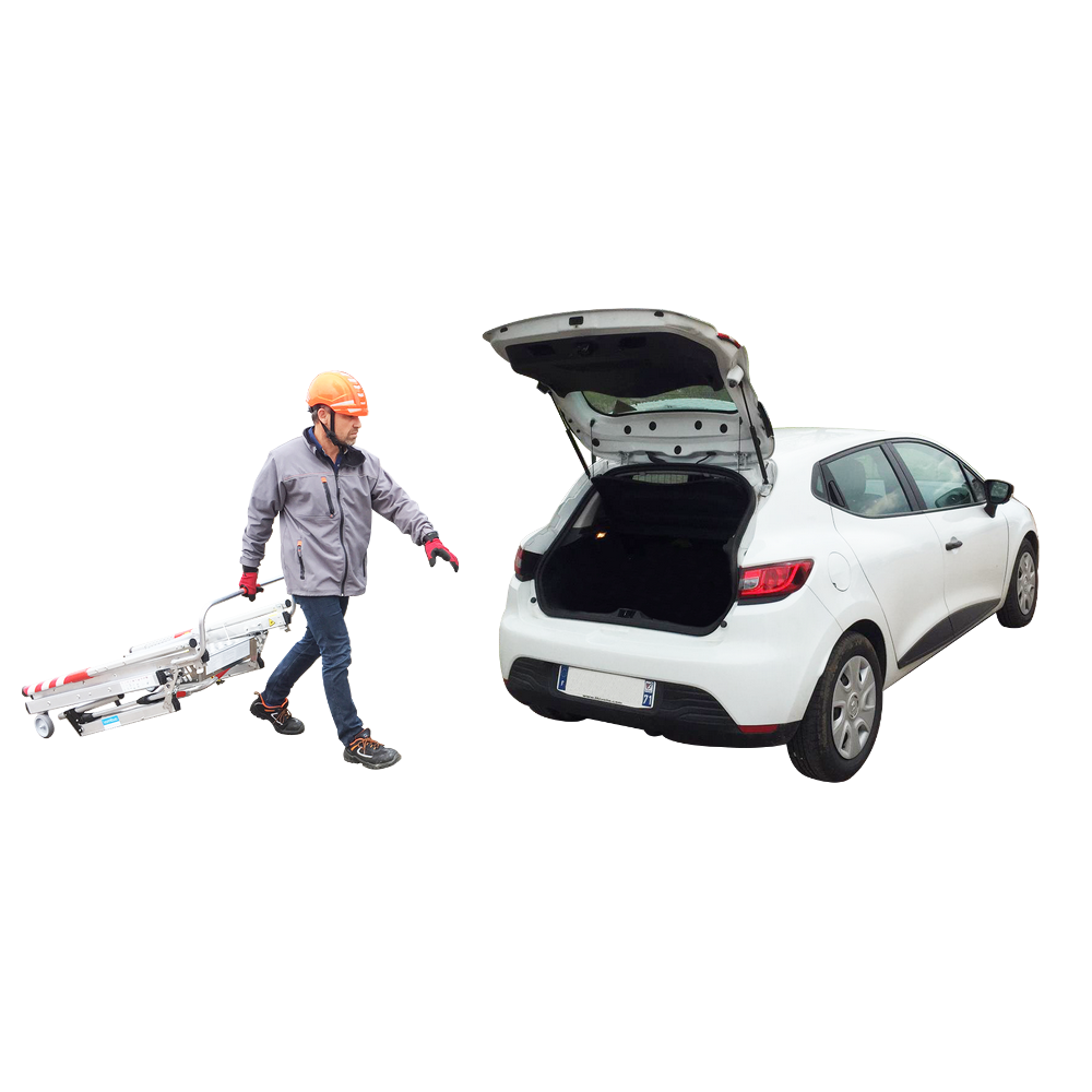 6581436955_52_rx-clio.png